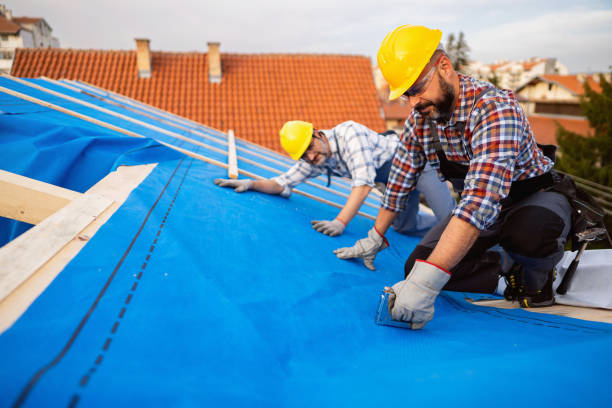 Best Roof Gutter Cleaning  in Carey, OH