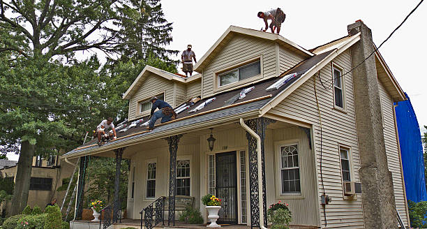 Best Shingle Roofing Installation  in Carey, OH