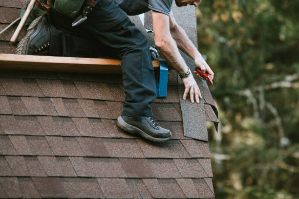 Best Roof Maintenance Services  in Carey, OH
